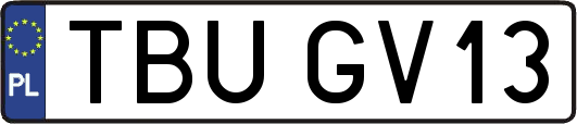 TBUGV13