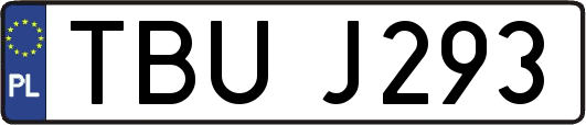 TBUJ293