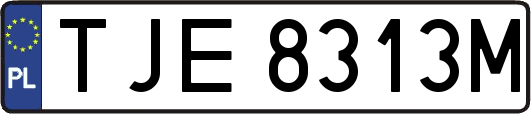 TJE8313M