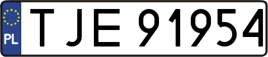 TJE91954