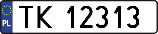 TK12313