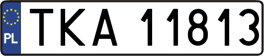 TKA11813