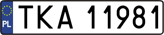TKA11981