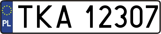 TKA12307