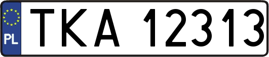 TKA12313