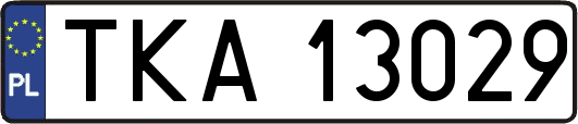 TKA13029