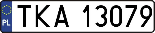 TKA13079
