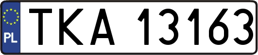 TKA13163