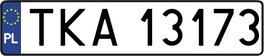 TKA13173