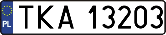 TKA13203