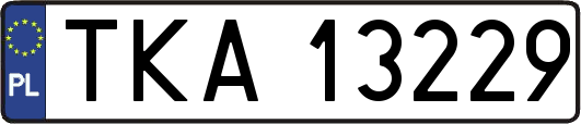 TKA13229