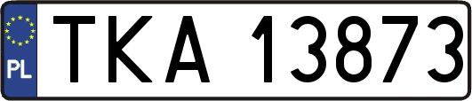 TKA13873
