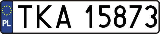 TKA15873