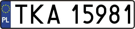 TKA15981