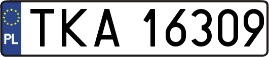 TKA16309