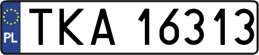 TKA16313