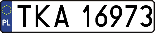 TKA16973
