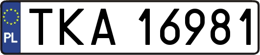 TKA16981