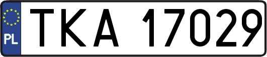 TKA17029