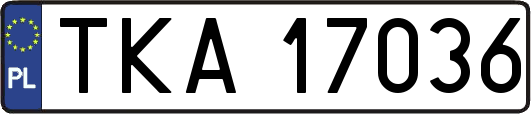 TKA17036