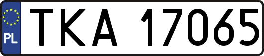 TKA17065