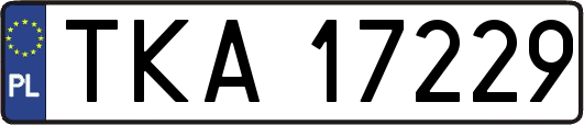 TKA17229