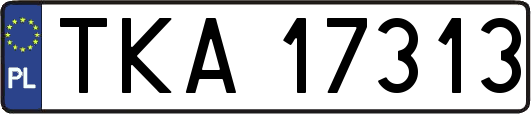 TKA17313