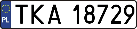 TKA18729