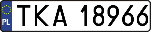 TKA18966