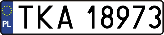 TKA18973