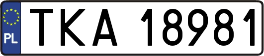 TKA18981