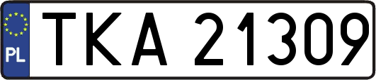TKA21309