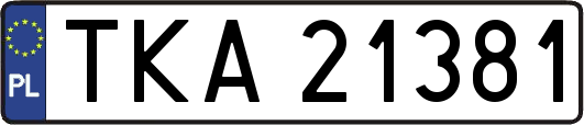 TKA21381