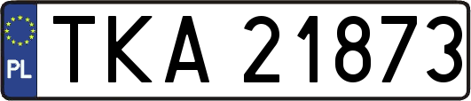 TKA21873
