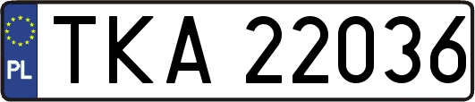 TKA22036