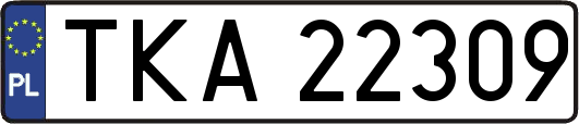 TKA22309