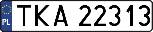 TKA22313
