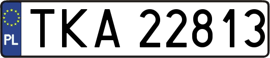 TKA22813