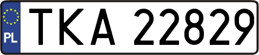 TKA22829