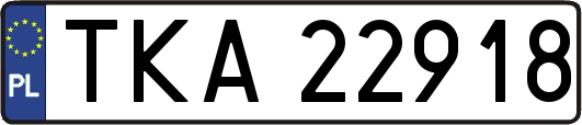 TKA22918