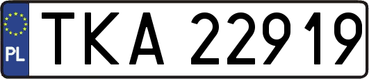 TKA22919