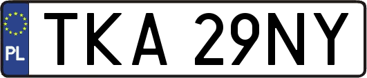 TKA29NY