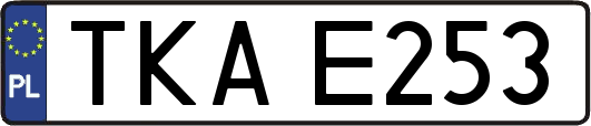 TKAE253