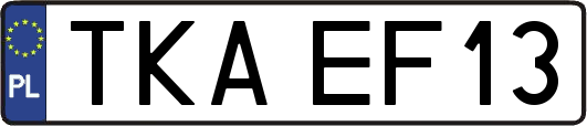 TKAEF13