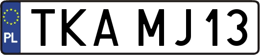 TKAMJ13