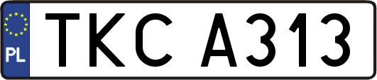 TKCA313