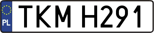 TKMH291