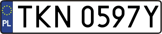TKN0597Y