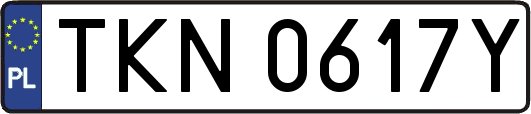 TKN0617Y