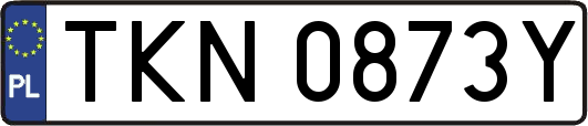 TKN0873Y